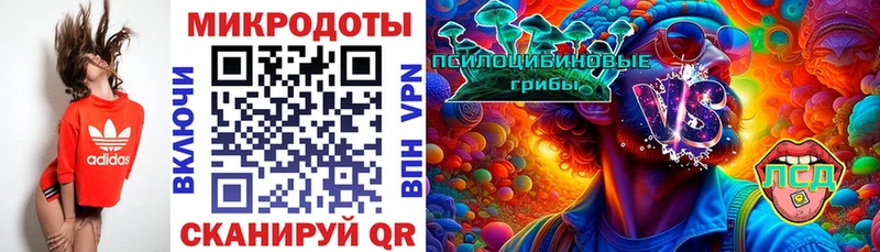 Псилоцибиновые грибы Psilocybe  Купить закладки  Кузнецк 